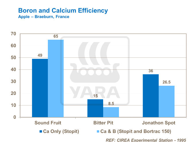 Boron and calcium efficiency