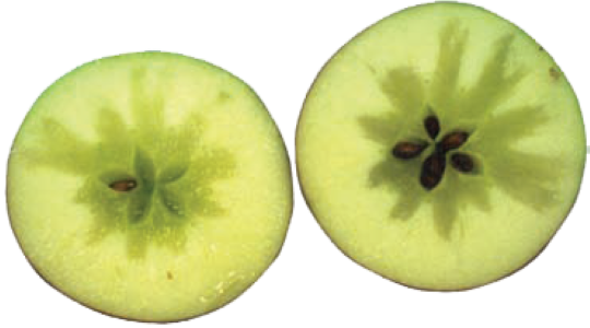 Reducir ocurrencia de corazón acuso