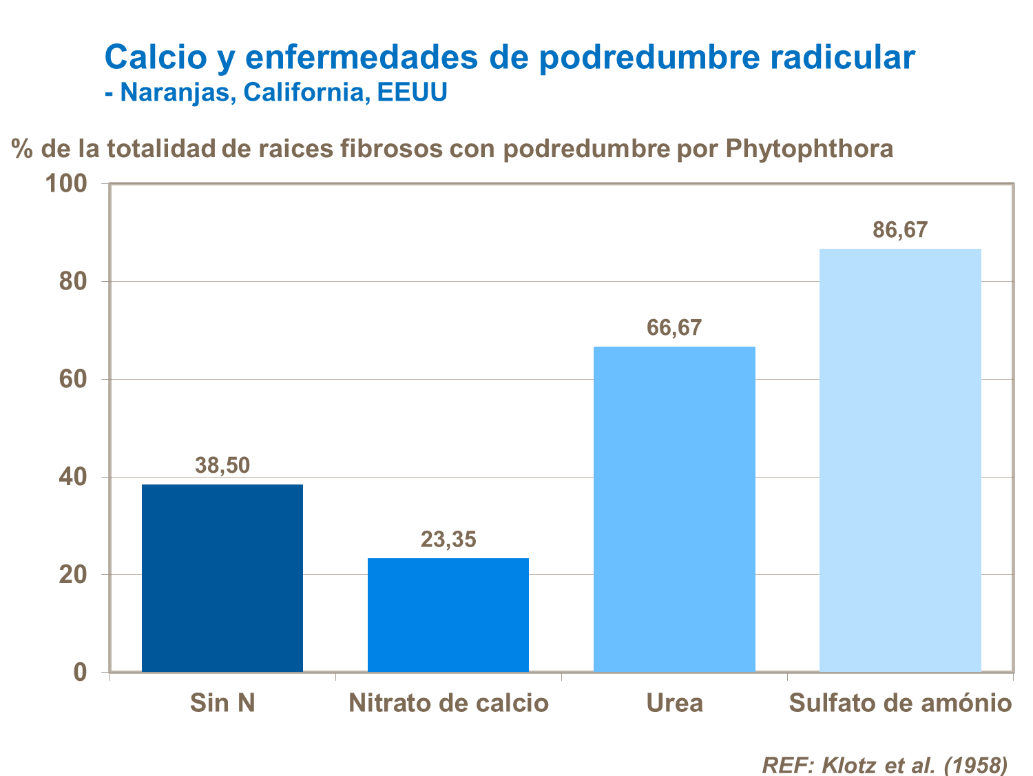 Calcio y enfermedades de podredumbre radicular