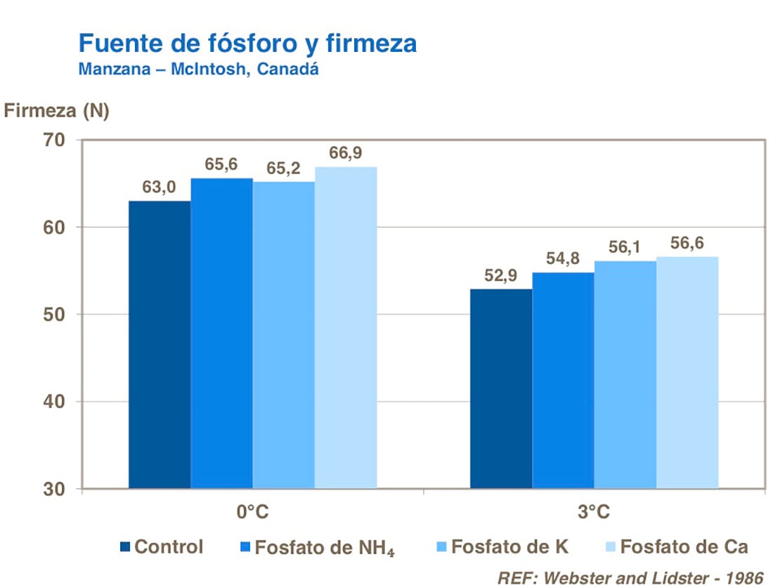 Fosforo04