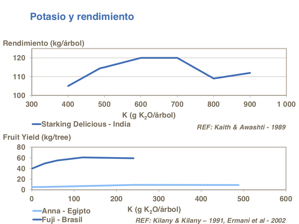 Potasio01